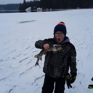 Meet your Posher, Steven